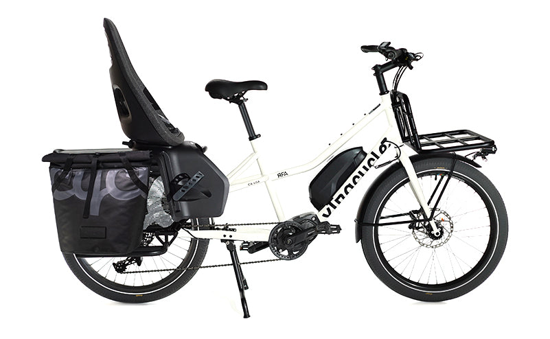 Everyday BikePack Pannier Backpack