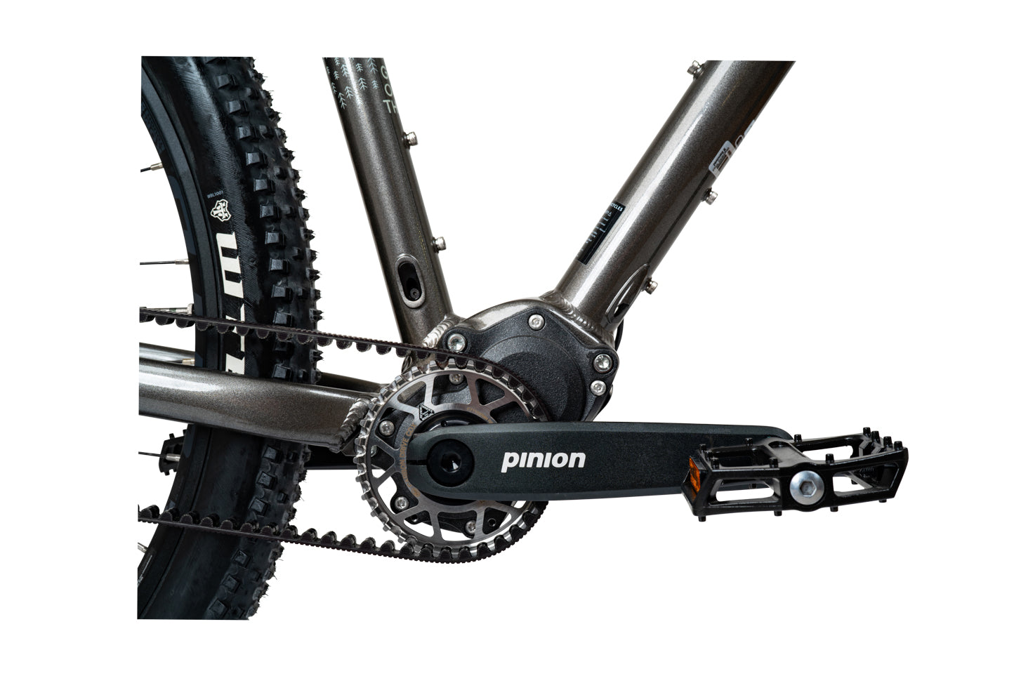 Pinion hardtail mountain online bike