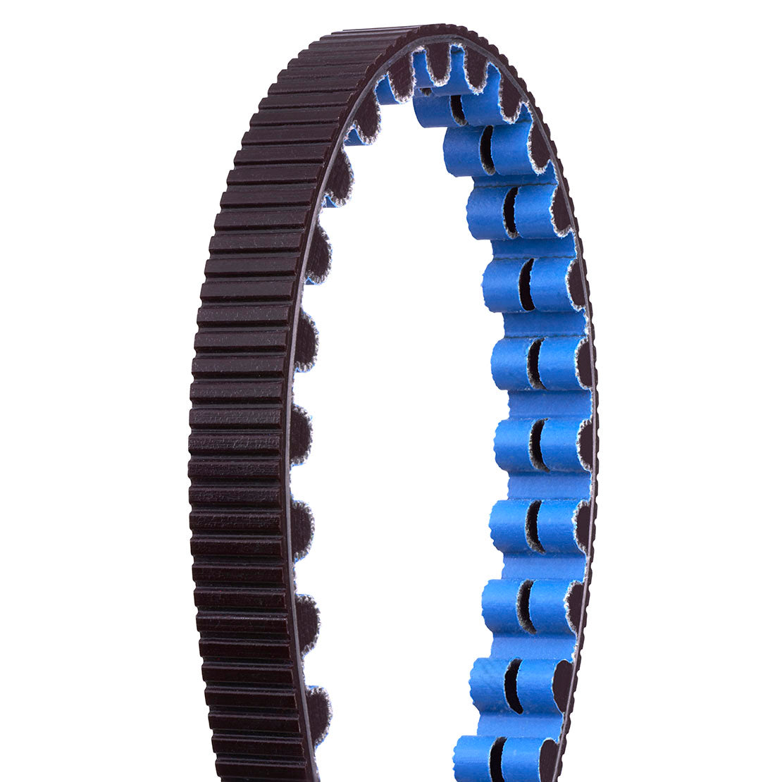 Gates Carbon Drive Belts – Priority Bicycles